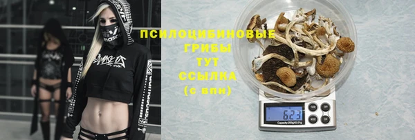 Альфа ПВП Армянск