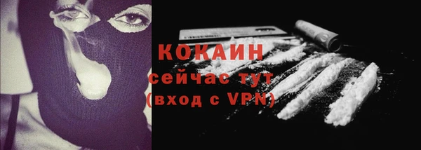 трава Арсеньев