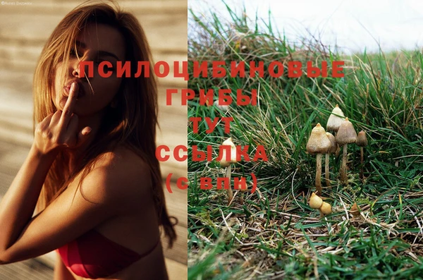 трава Арсеньев