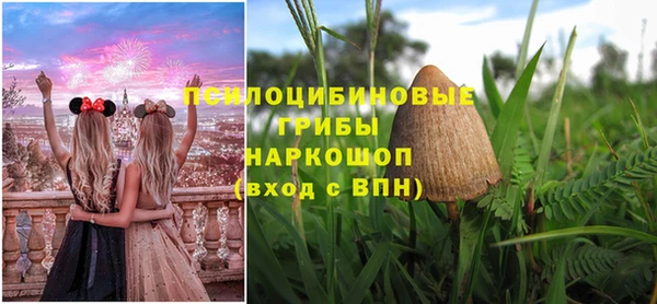 Альфа ПВП Армянск