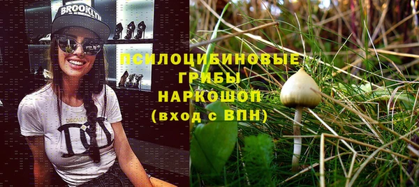 трава Арсеньев