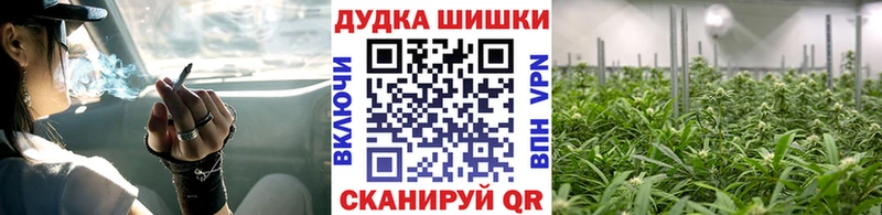 где продают наркотики  Сасово  Конопля марихуана 